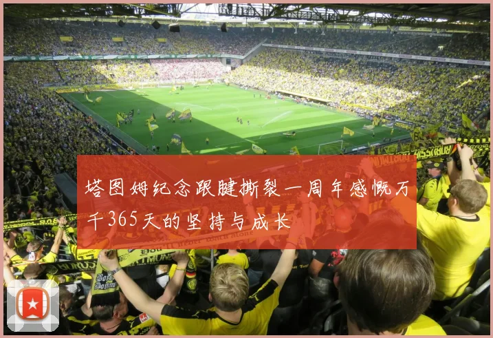 塔图姆纪念跟腱撕裂一周年感慨万千365天的坚持与成长